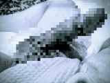 798090.jpg 
								(9KB)
