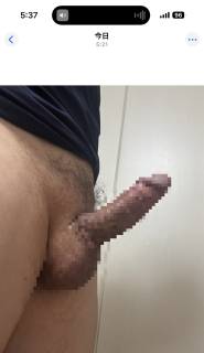 798226.jpg (354KB)