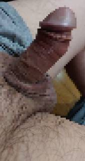798246.jpg (278KB)