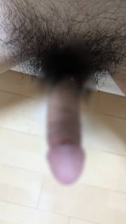 798264.jpg (269KB)