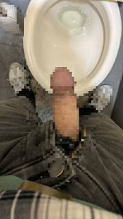 798307.jpg (340KB)