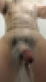 798453.jpg (305KB)