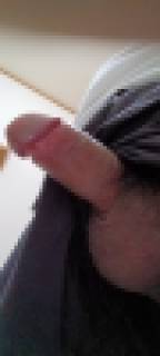 798670.jpg (40KB)