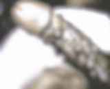 800913.jpg 
								(8KB)