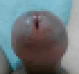 804613.jpg 
								(5KB)