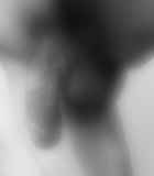 807339.jpg 
								(7KB)