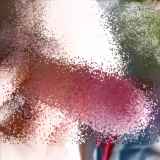 808528.jpg 
								(18KB)