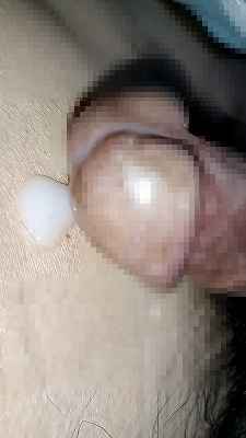 808809.jpg 
								(10KB)