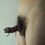 808975.jpg 
								(5KB)