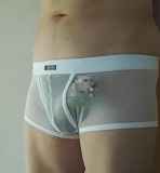 809424.jpg 
								(6KB)