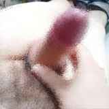 809792.jpg 
								(15KB)