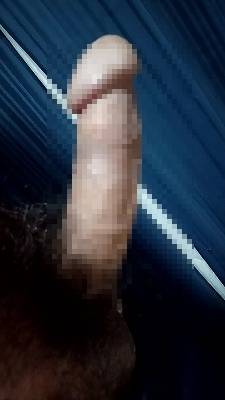 810409.jpg (264KB)