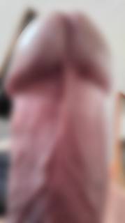 810445.jpg (456KB)