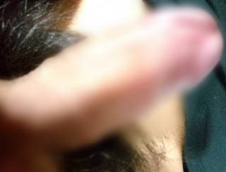 810475.jpg (445KB)