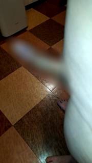 810550.jpg (72KB)