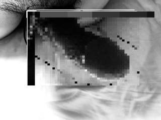 810656.jpg (80KB)