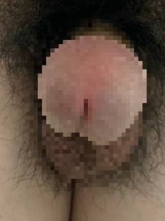 810871.jpg (113KB)