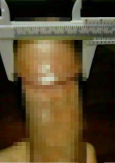 811019.jpg (23KB)
