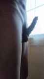 811030.jpg 
								(5KB)