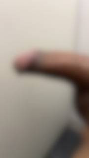 811398.jpg (16KB)