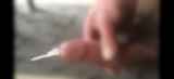811563.jpg 
								(7KB)