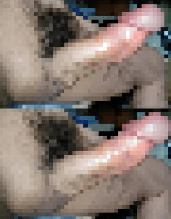 811692.jpg (267KB)