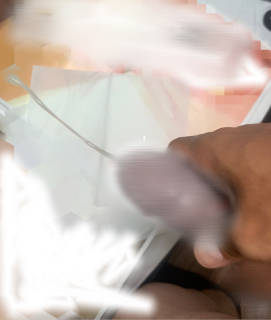 811703.jpg (169KB)