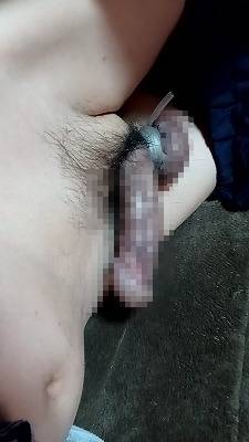 811888.jpg (264KB)