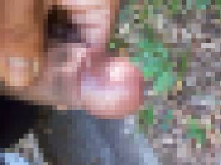 811928.jpg (40KB)