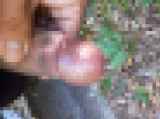 811928.jpg 
								(10KB)