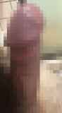 811965.jpg 
								(5KB)