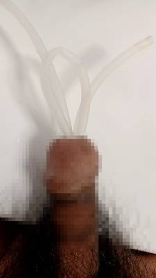 812000.jpg (264KB)