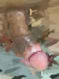 812075.jpg 
								(16KB)