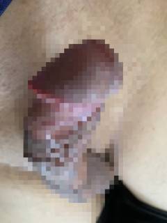 812081.jpg (274KB)