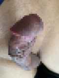 812081.jpg 
								(8KB)