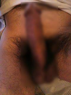 812336.jpg (32KB)