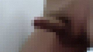 812502.gif (358KB)
