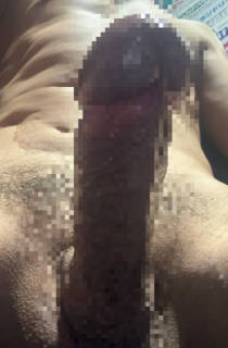 812536.jpg (161KB)