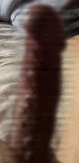 812908.jpg (439KB)