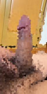 813111.jpg (169KB)