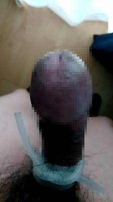 813241.jpg (264KB)