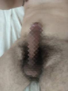 813296.jpg (493KB)