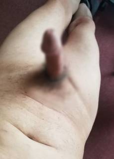 813317.jpg (20KB)