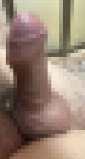 813329.jpg (345KB)