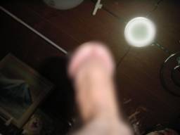 813379.jpg (28KB)