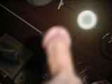813379.jpg 
								(4KB)