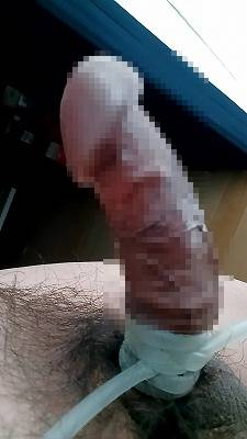 813395.jpg (264KB)