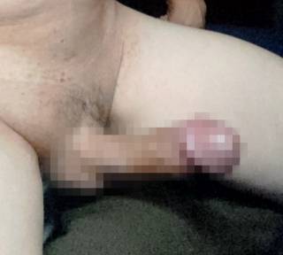 813460.jpg (265KB)