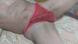 813503.jpg 
								(47KB)