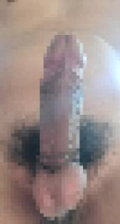 813518.jpg (214KB)